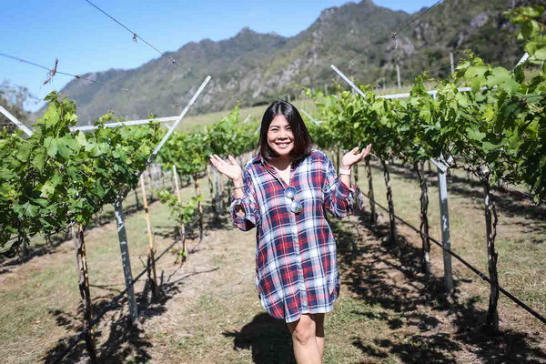 Winter in the Vineyard at GranMonte ปัทมวดี เสนาณรงค์